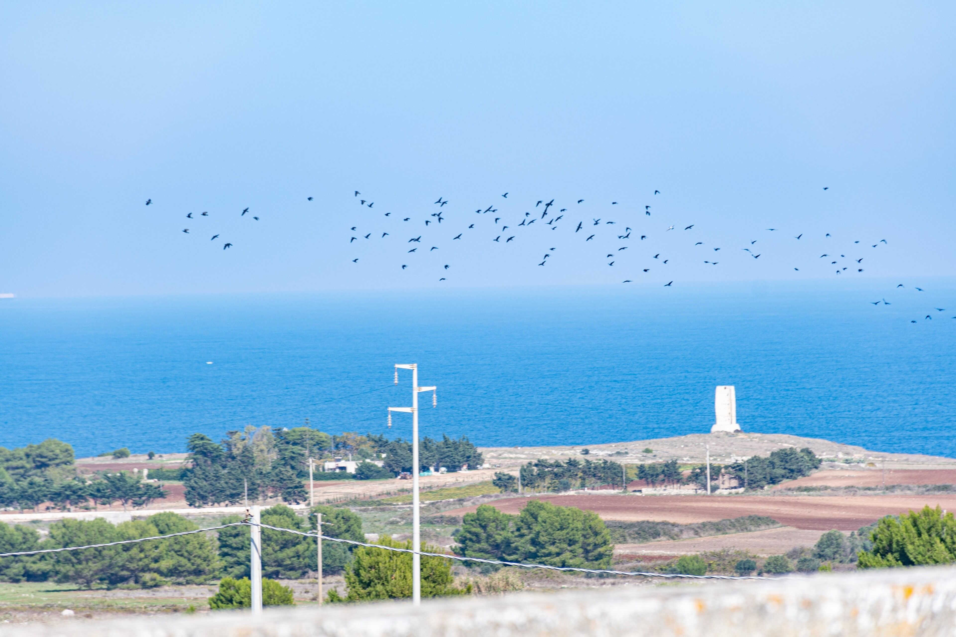 Foto - Masseria dei Monaci
