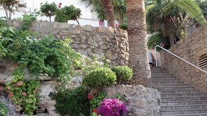 A stone staircase with a palm tree and various plants. -  Hotel Casablanca Mallorca (Calvia)