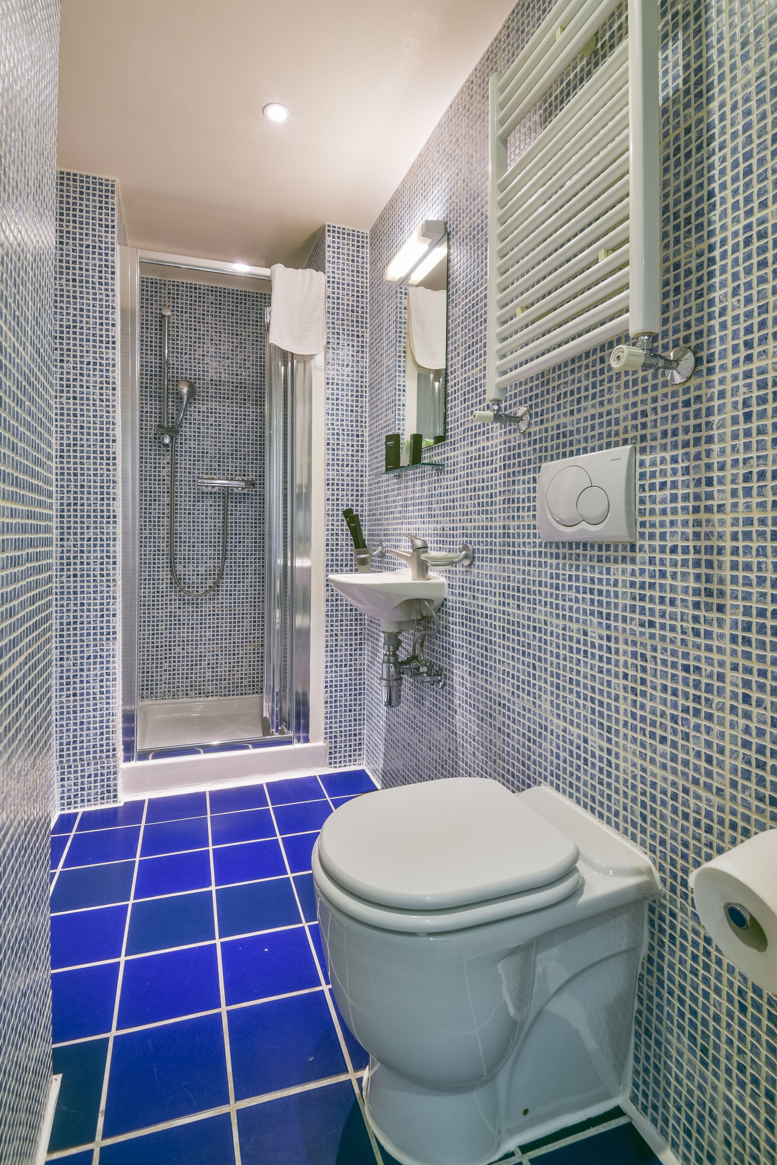 Classic Room | Bathroom | Shower, free toiletries, towels