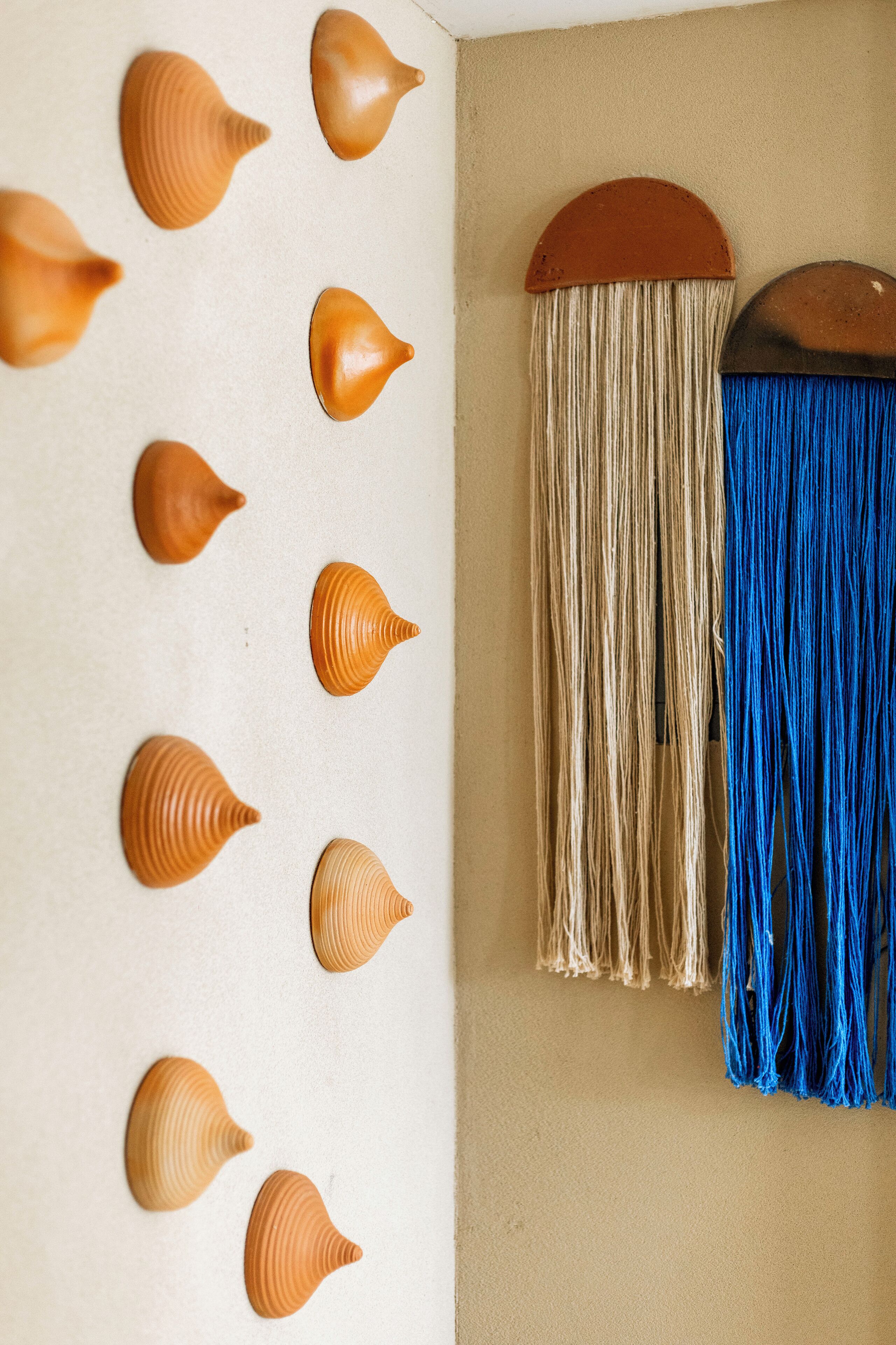 Un mur orné de plusieurs coquillages et d’une décoration murale composée de deux tissus de couleurs différentes.