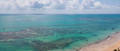 Uma praia com águas turquesa cristalinas, areia dourada e palmeiras.