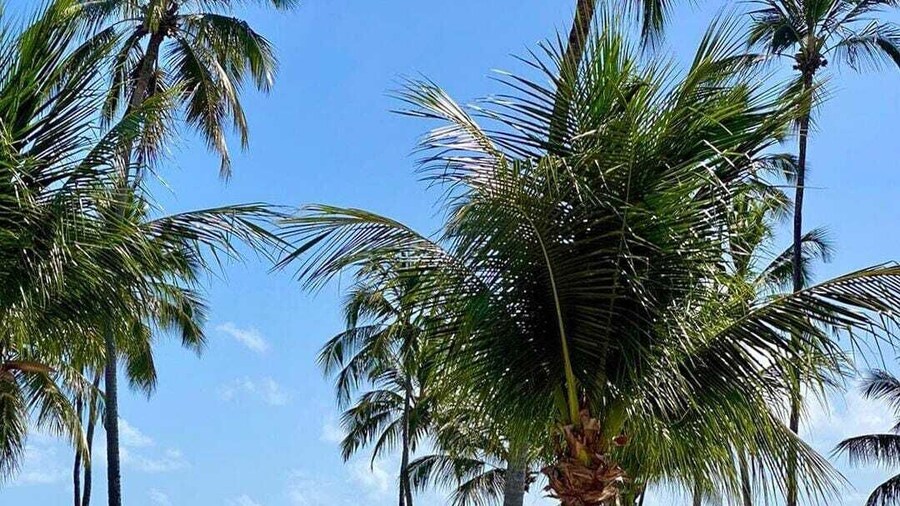 Baia Branca Beach Resort