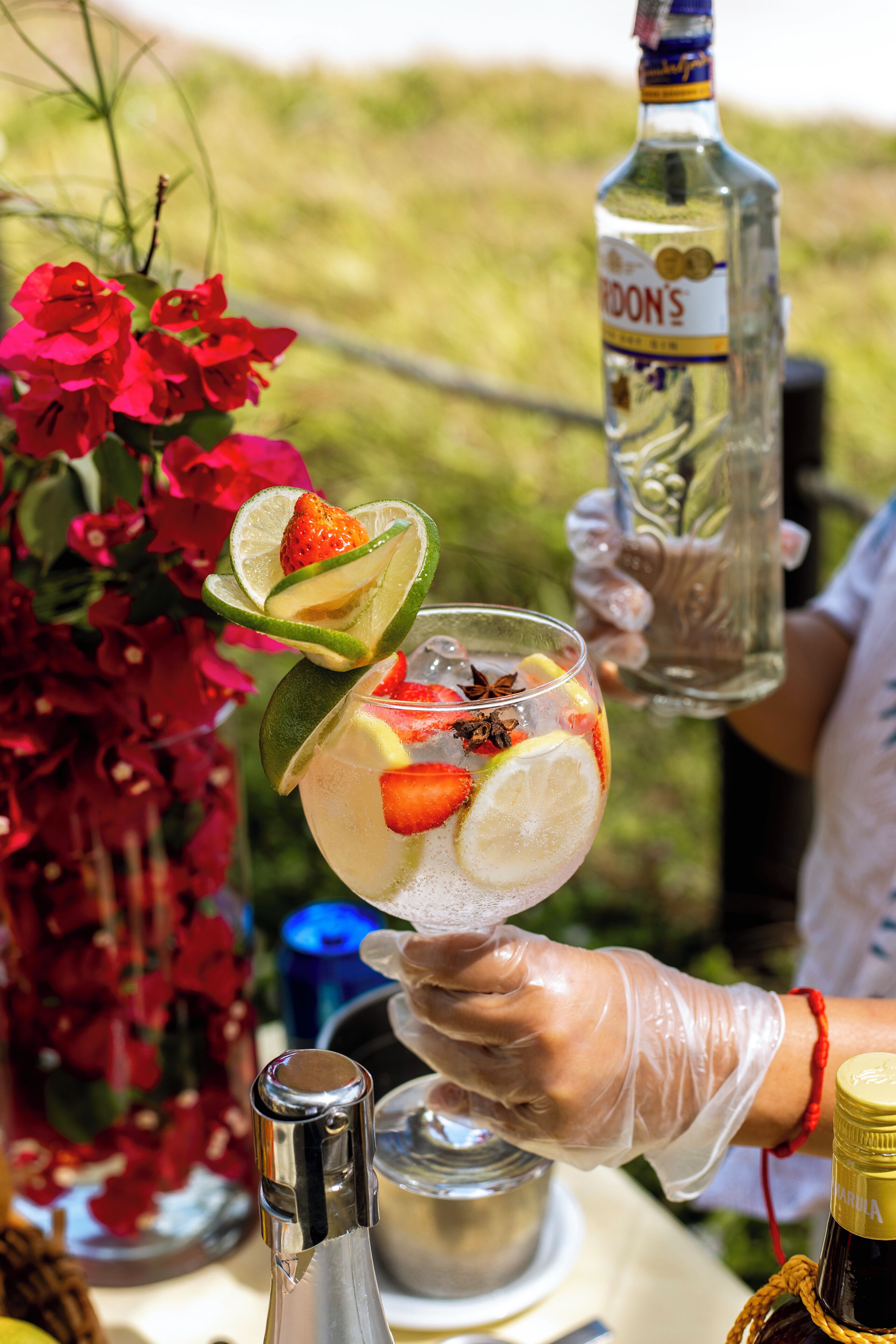 A person holding a glass with a cocktail garnished with lime, strawberry, and star anise. A bottle of Gordon's Gin is visible in the background.