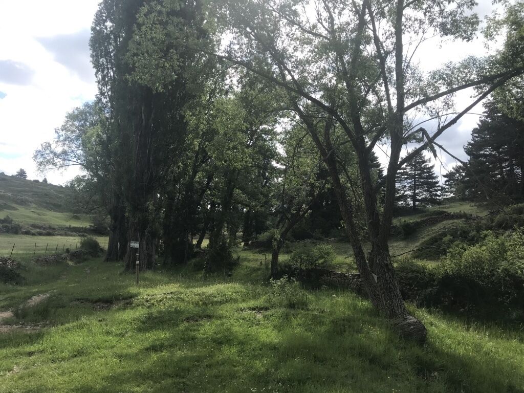 Randonnée