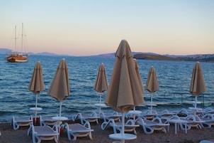A beach with lounge chairs and umbrellas, a sailboat in the background, and a calm sea.