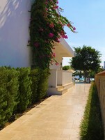 A paved pathway leading to a building with a white exterior and pink flowering vines.