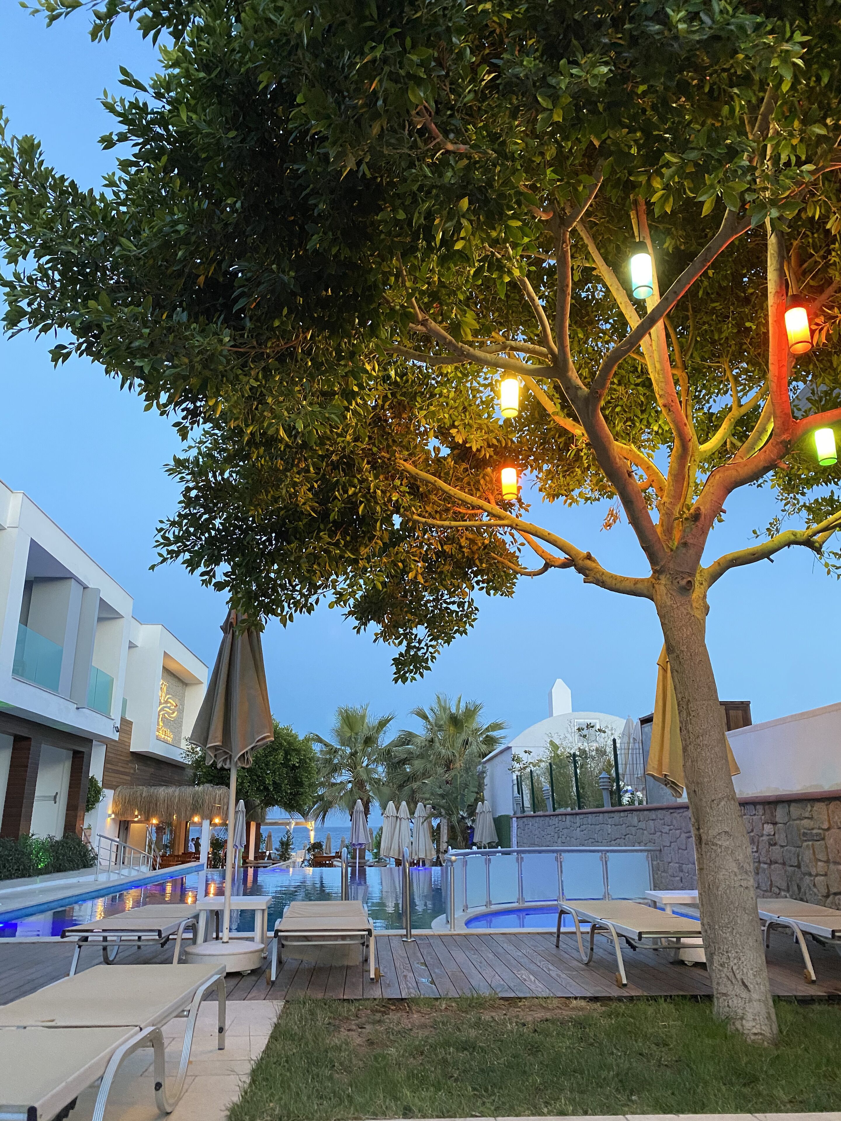 Seasonal outdoor pool, open 8:00 AM to 6:30 PM, pool umbrellas