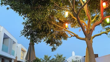 Seasonal outdoor pool, open 8:00 AM to 6:30 PM, pool umbrellas