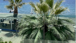 Une vue d’une plage avec des palmiers et un bateau sur l’eau.