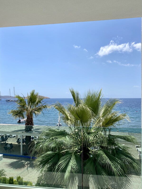 Luxury Suite | Balcony view