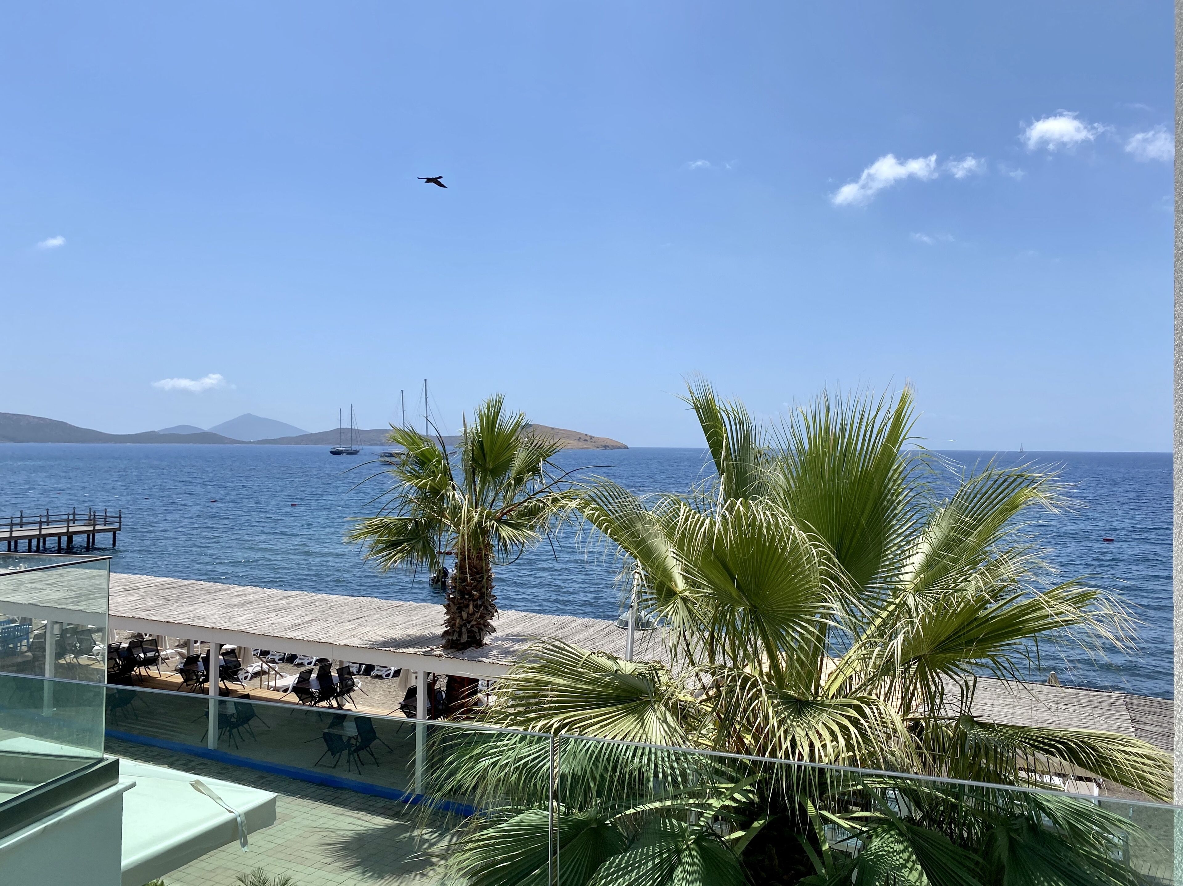 Luksussuite | Utsikt mot strand/hav