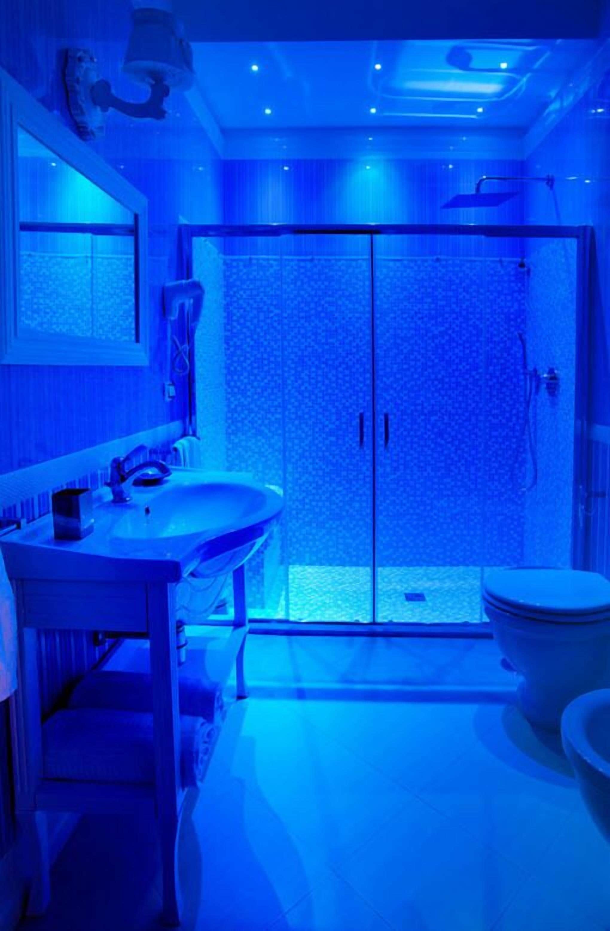 Executive Room | Bathroom | Shower, free toiletries, hair dryer, slippers
