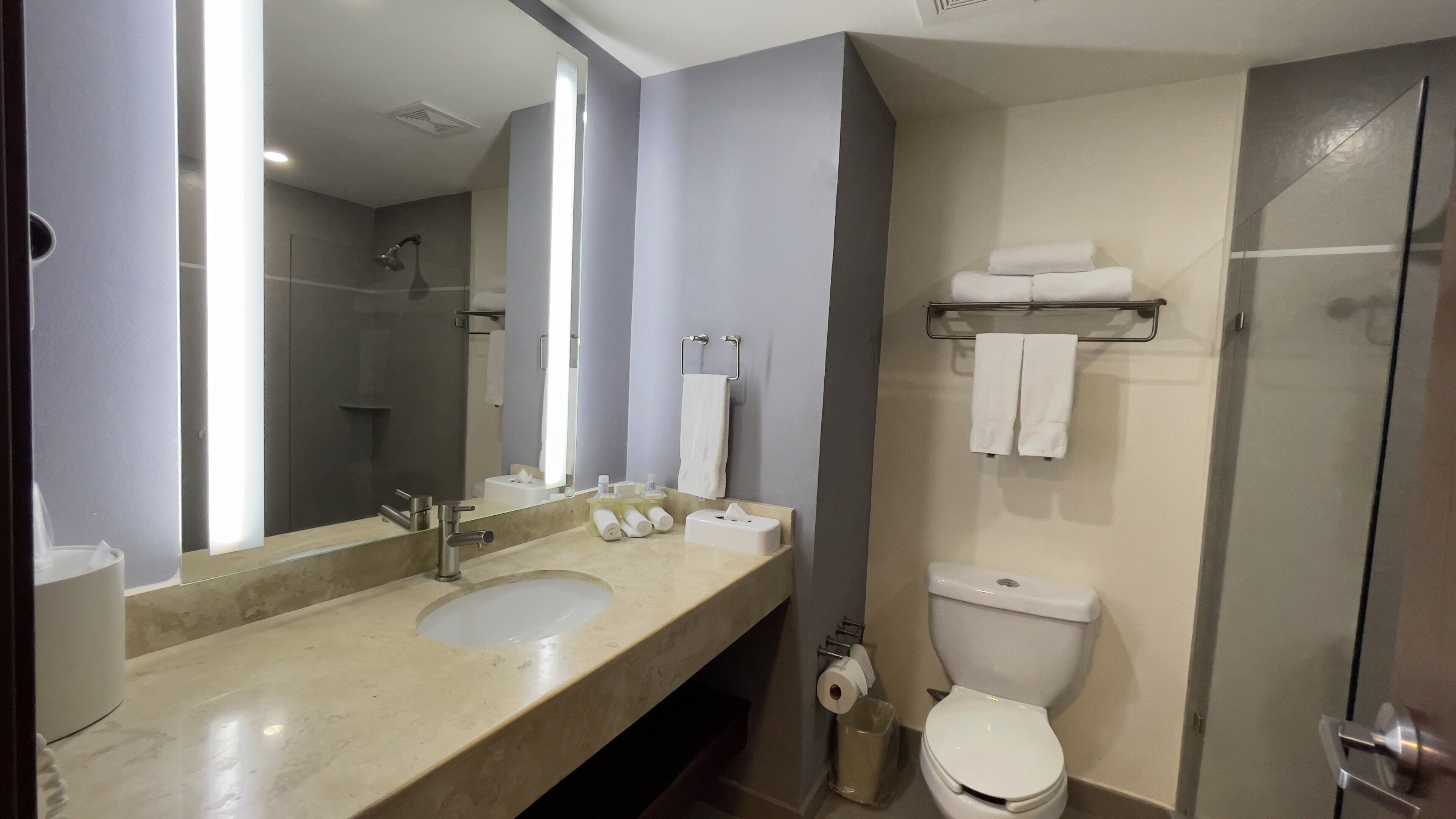 standard room | bathroom | hydromassage showerhead, free toiletries, hair dryer, bidet