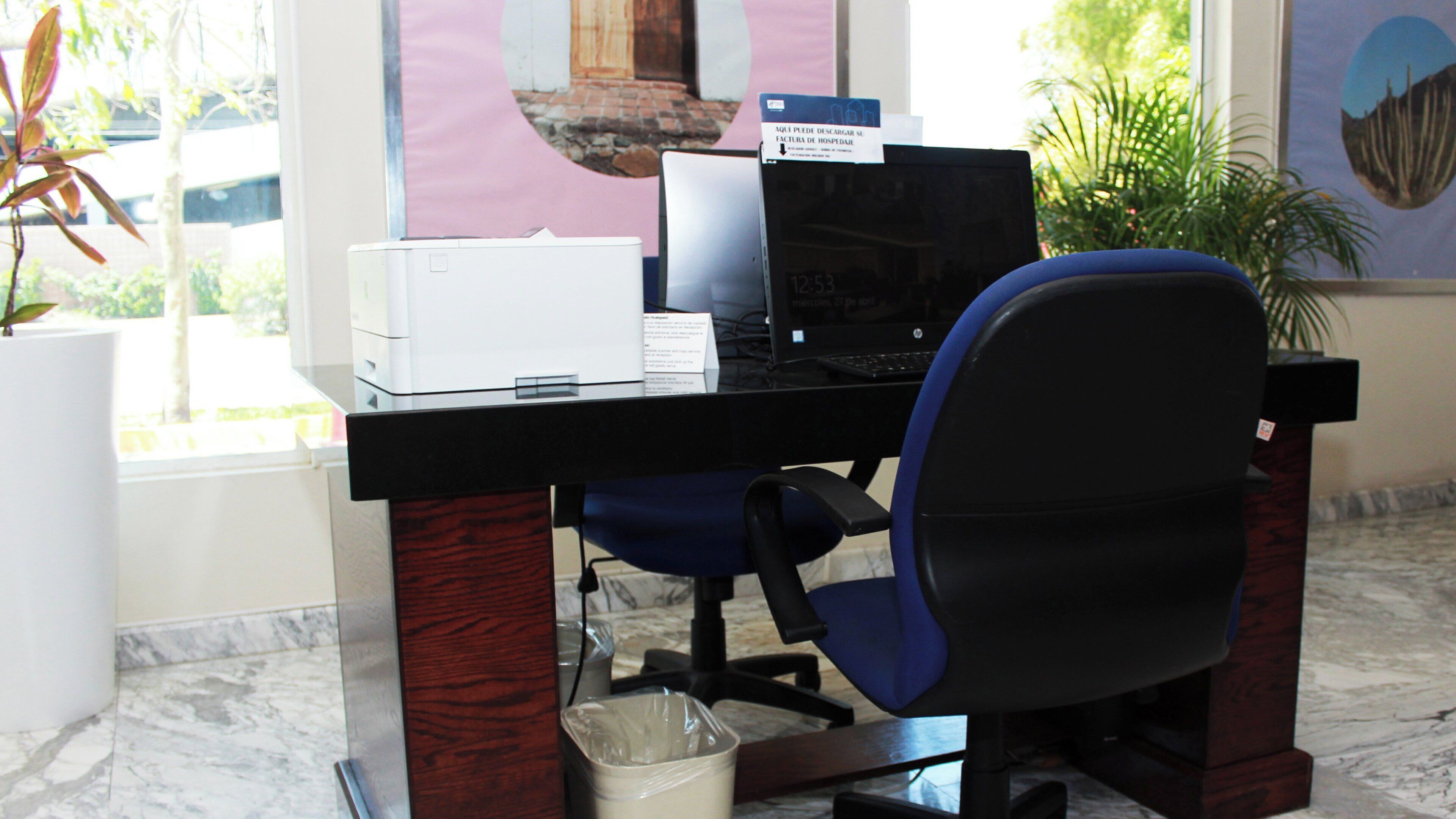 A desk with a computer, chair, and trash bin in a room with a window and a plant.