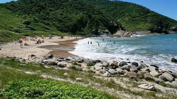A beach with rocky shoreline, clear water, and a forested hill in the background.