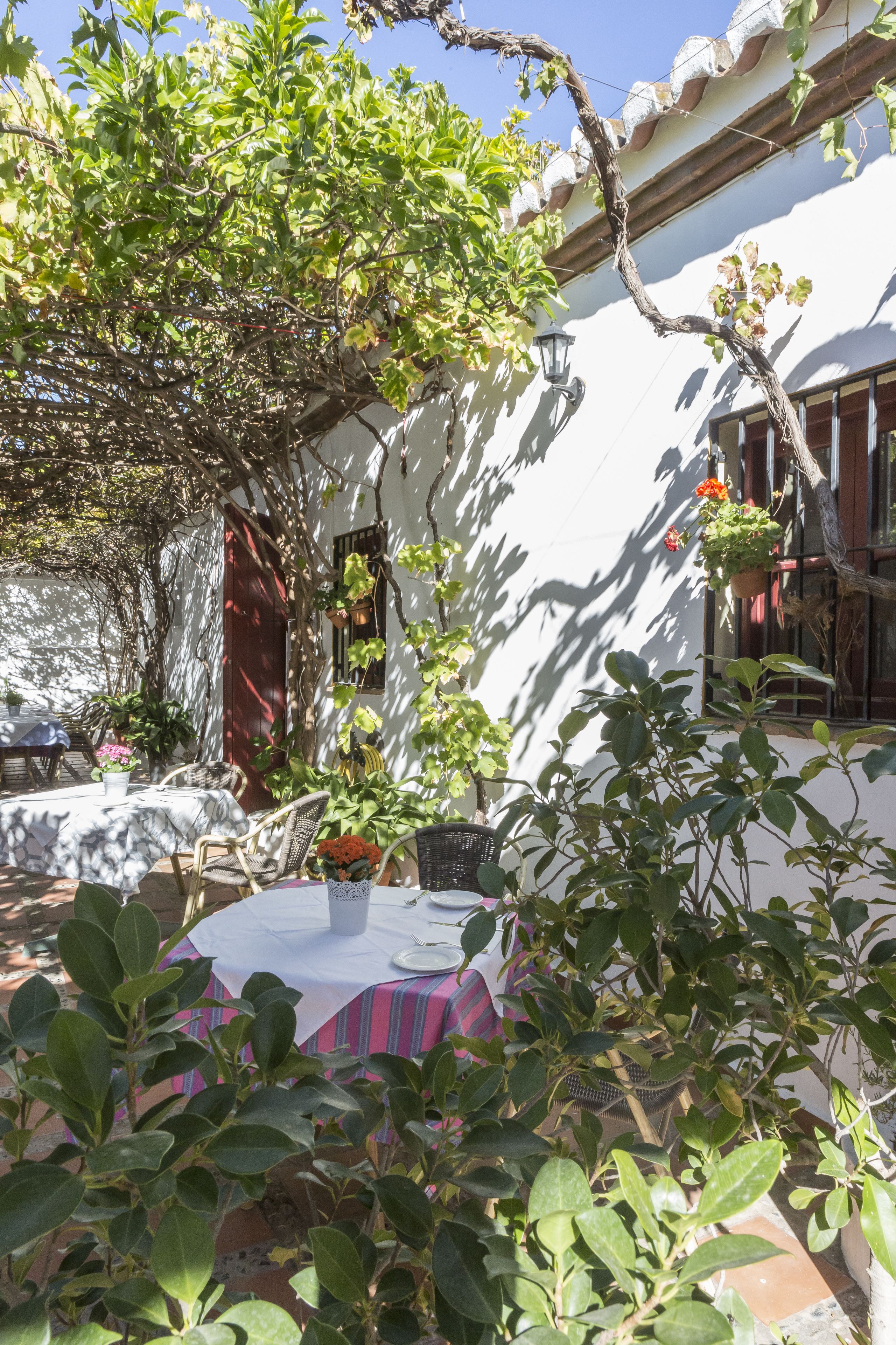 local cuisine, al fresco dining