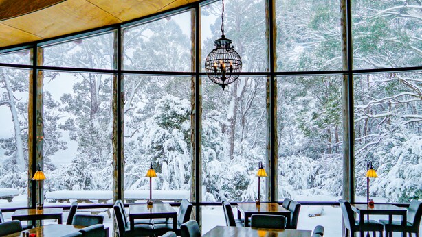 Un restaurante con amplios ventanales que ofrece vistas a un bosque nevado.