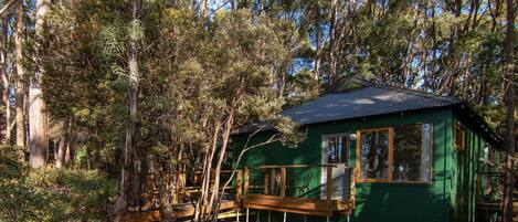 A green cabin with a wooden deck, surrounded by tall trees.