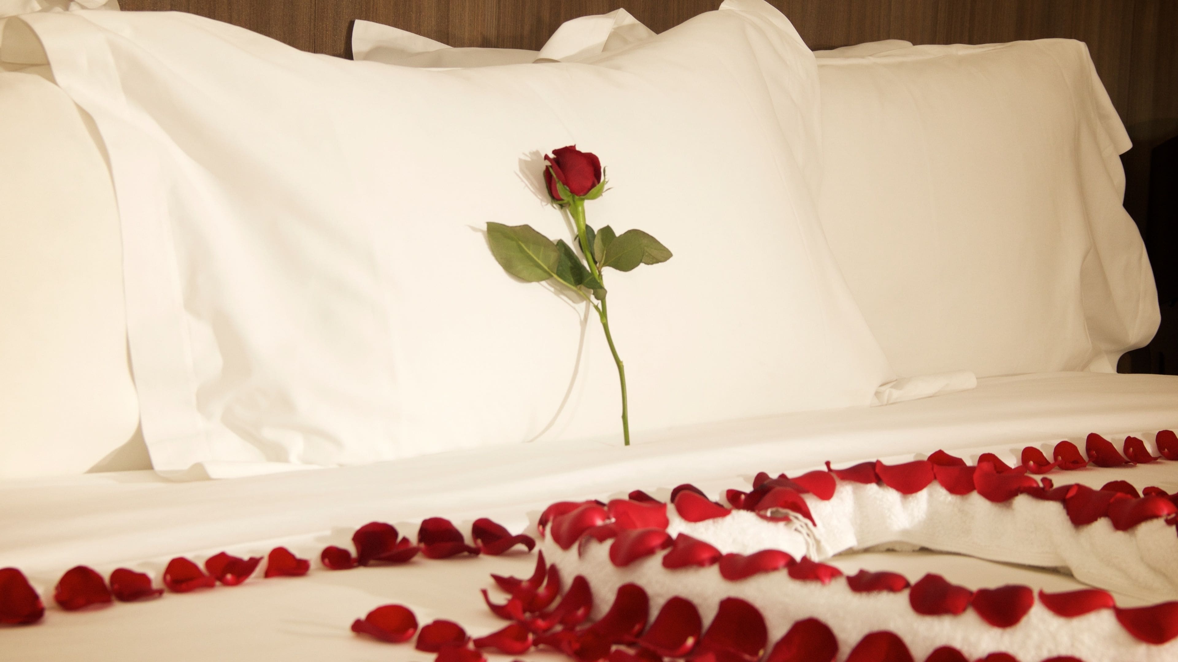 Un lit recouvert de draps blancs, avec une seule rose rouge posée dessus.