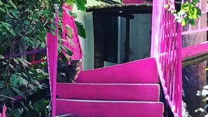 Um gato preto e branco sentado em uma escada rosa.