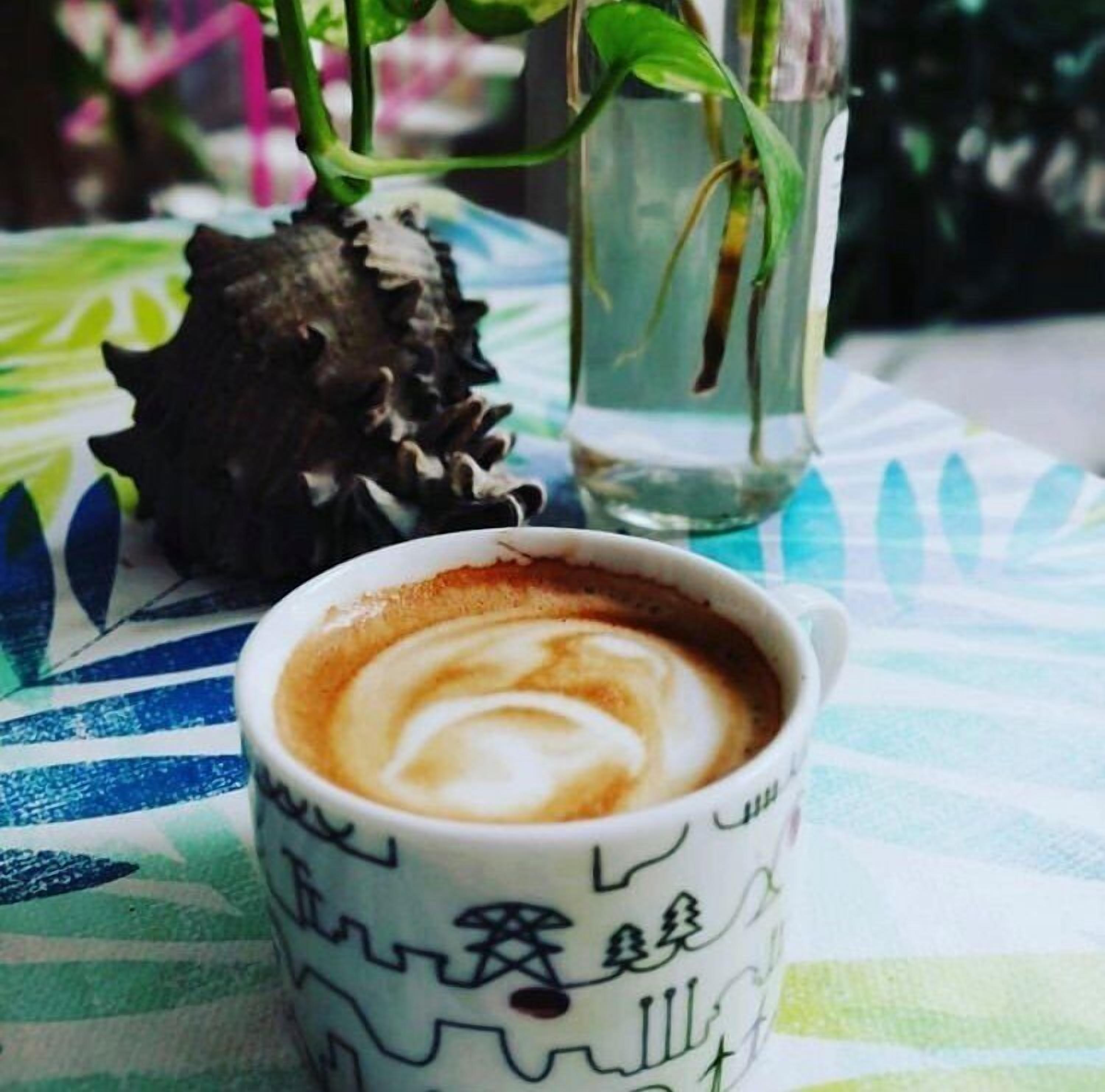 Foto - Hotel Posada Señor Mañana