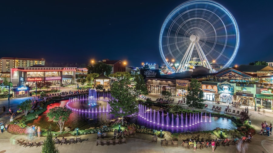 Margaritaville Island Hotel