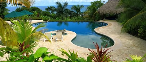 Relax by the serene pool surrounded by lush tropical vegetation and lounge chairs.