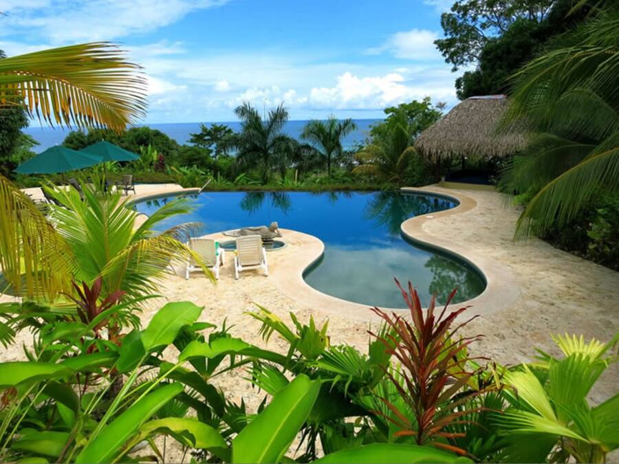 Outdoor pool, sun loungers