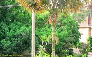 阳台景观
