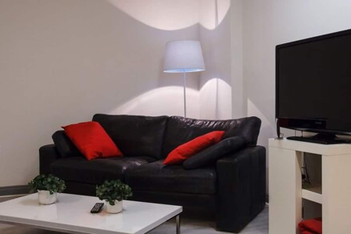 Flat-screen TV