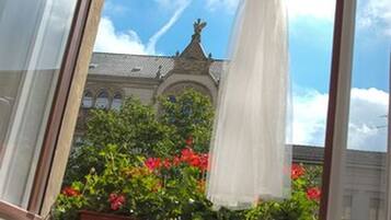 Vista desde la habitación