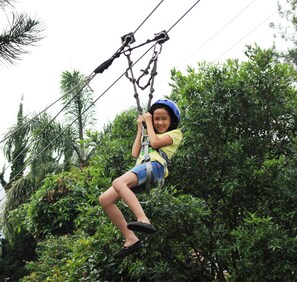 Parcours aventure (team building)