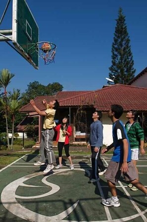 Terrain de basketball