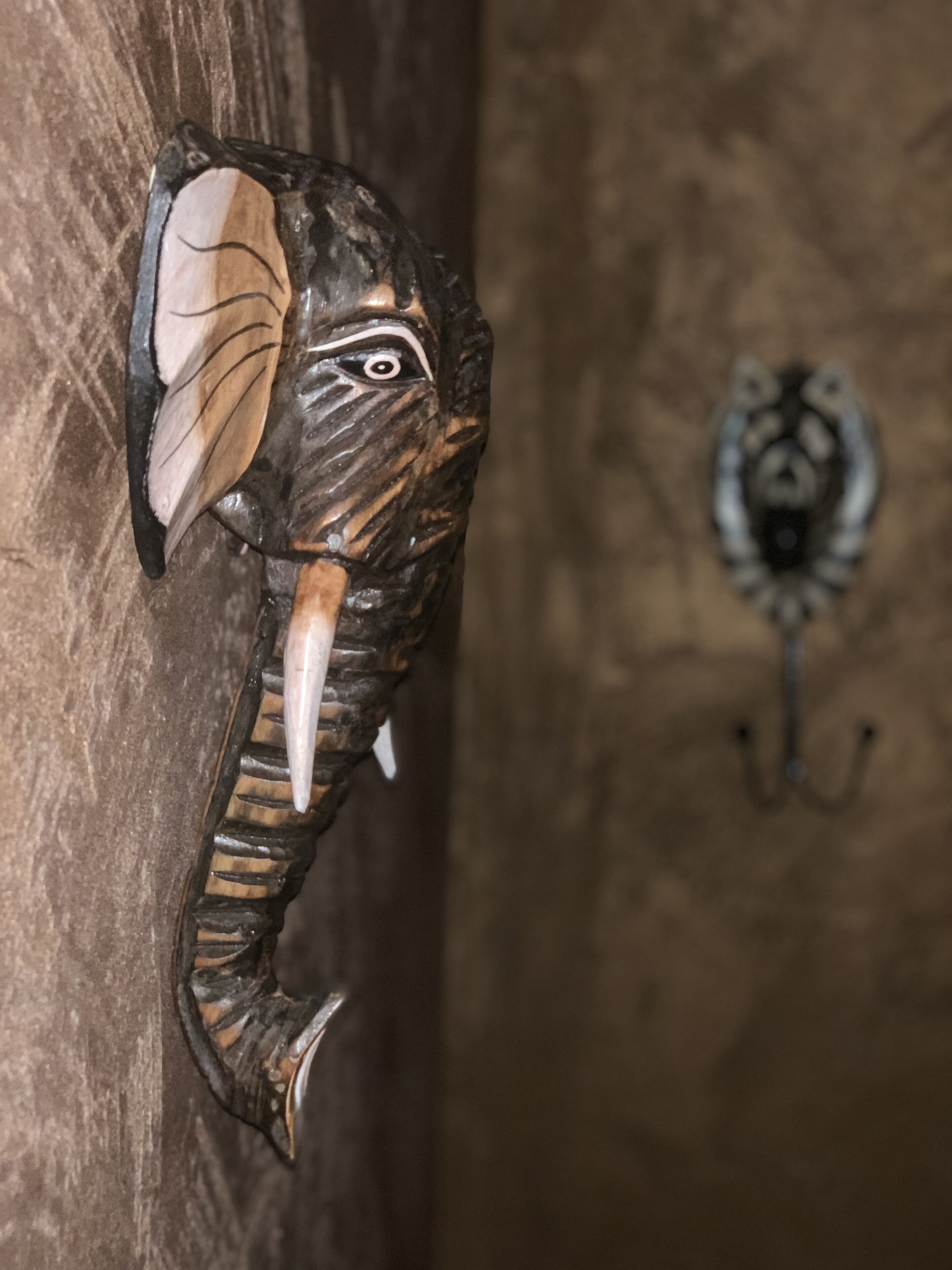 Une tête d’éléphant en bois fixée au mur, un crochet en métal et une porte en bois.