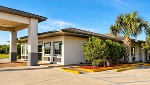 A building with a covered entrance, a palm tree, and a parking lot.