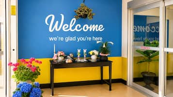 Un espace d’accueil avec un mur bleu sur lequel est affiché un message de bienvenue, une table noire sur laquelle sont disposés divers objets et des plantes en pot.