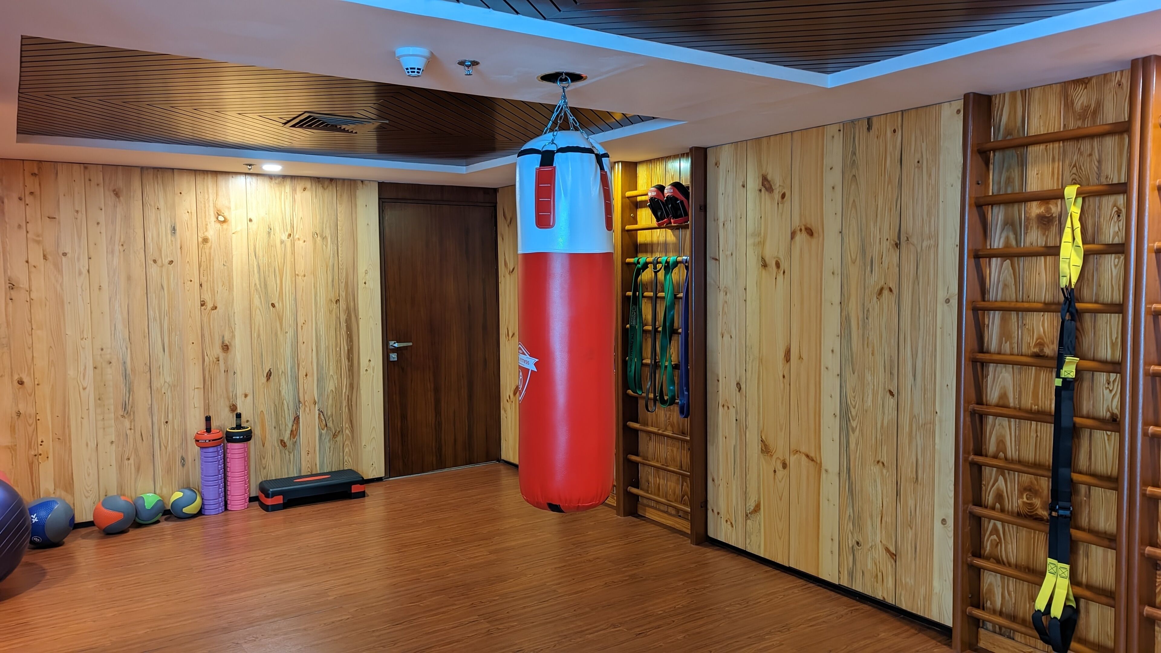 A gym with wooden walls, a punching bag, exercise balls, and a pull-up bar.
