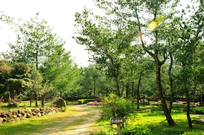 A pathway through a park with trees and a signpost. - Zen and Pine Resort (Shuili)