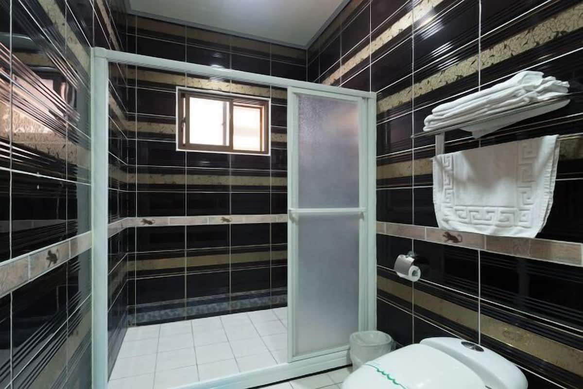 Baño | Ducha y cabezal de ducha tipo lluvia