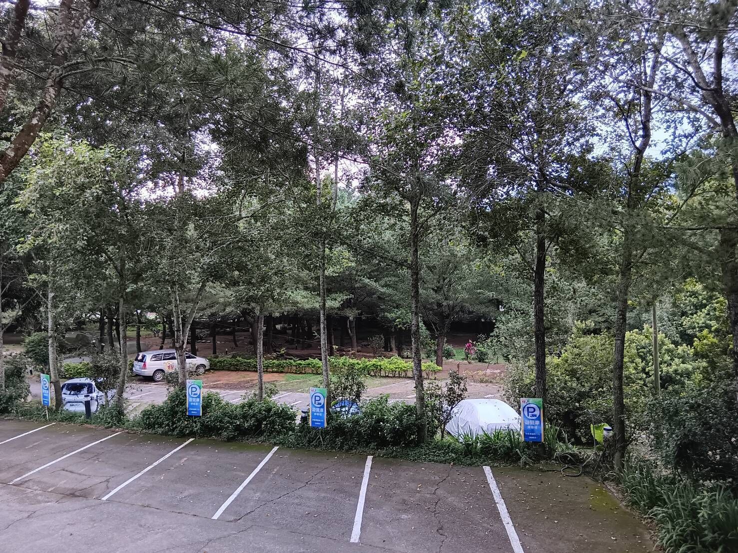 Un espace de stationnement avec des places délimitées, entouré d’arbres et de verdure.