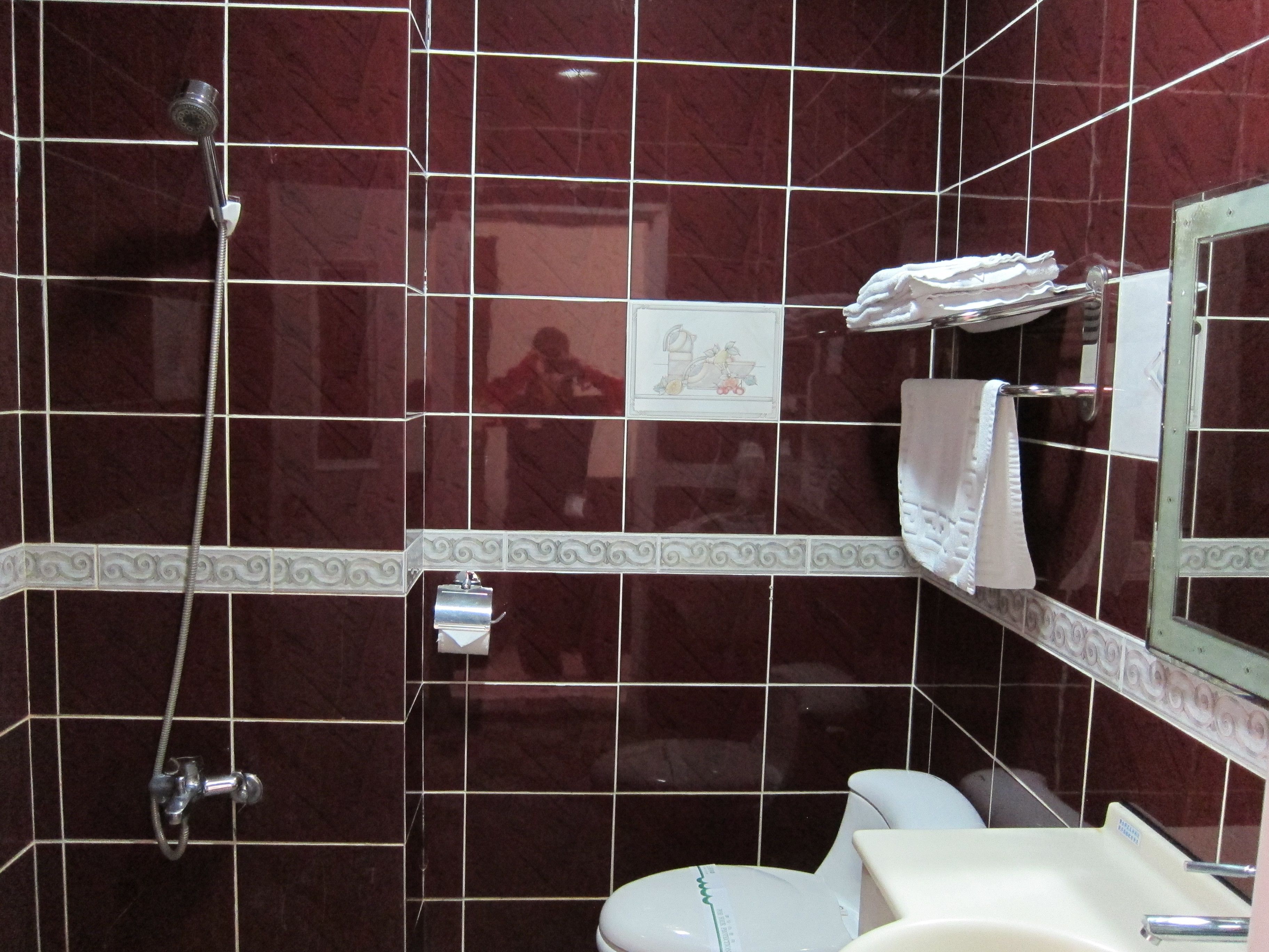 twin room | bathroom | shower, rainfall showerhead, free toiletries, hair dryer