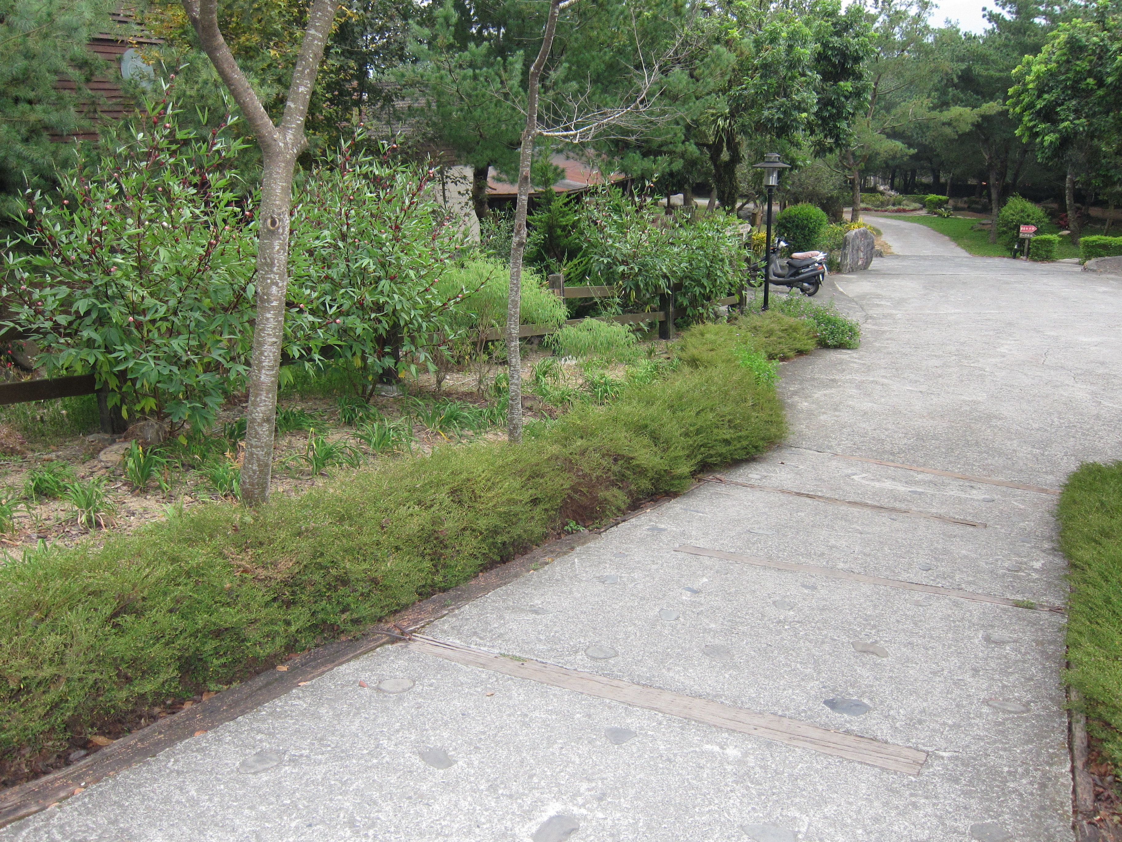 A paved pathway flanked by greenery and a parked scooter.