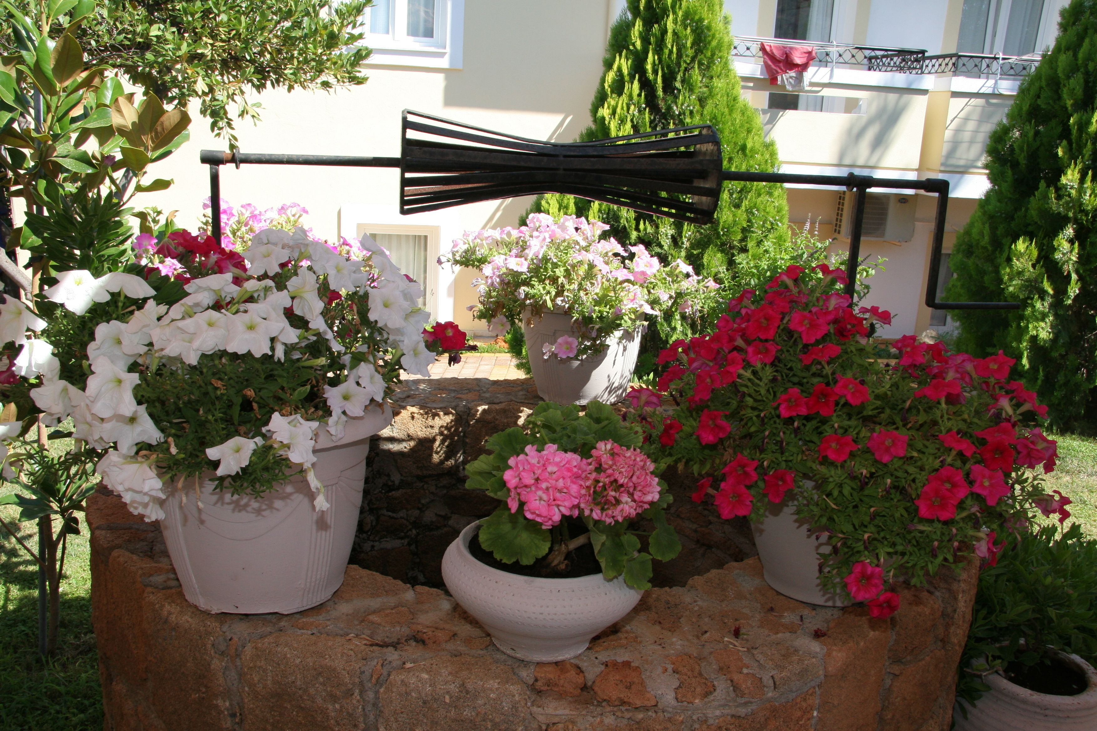 A garden with potted plants and a metal structure.