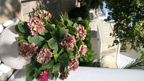 A potted hydrangea plant with pink flowers on a balcony.