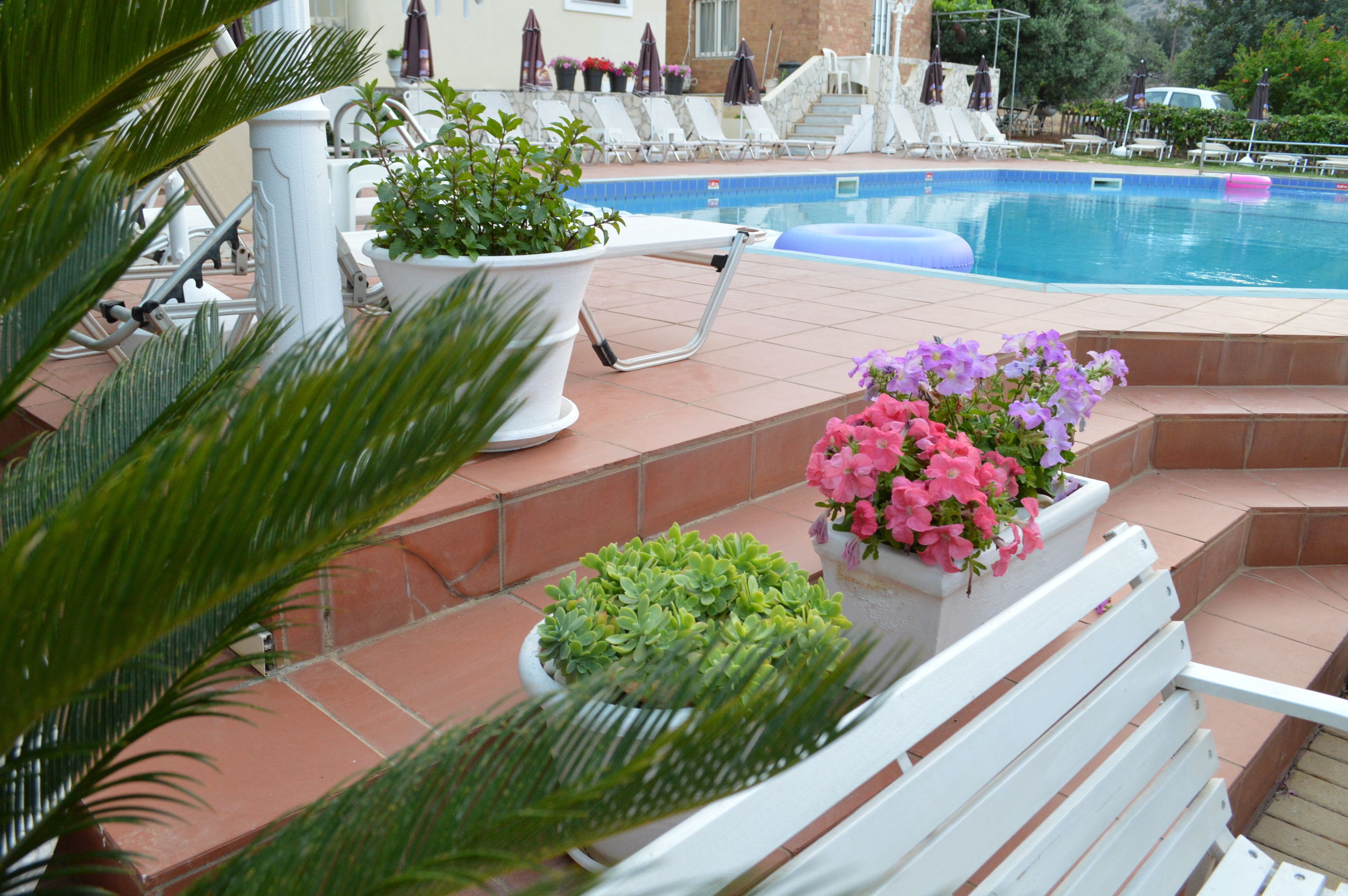 Et poolområde med liggestole, en pool og plantekasser.