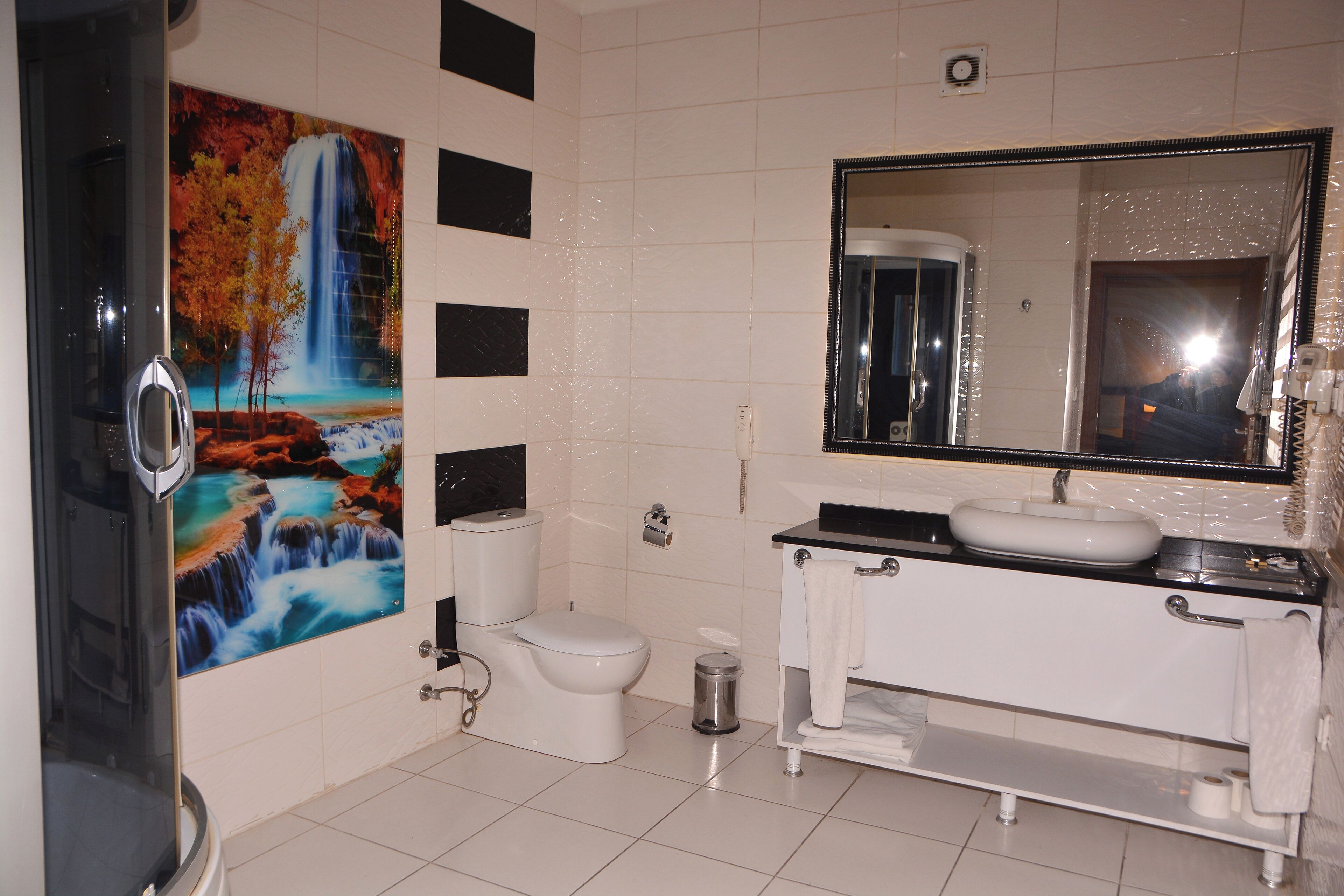 A bathroom with a waterfall mural, a toilet, a sink, and a mirror.