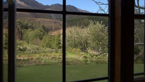 Vista per una finestra d'un paisatge de muntanya amb un camp herbós i arbres.