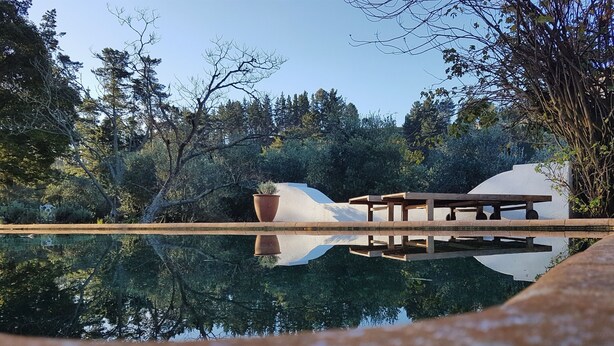 Reflectida en l'aigua tranquil·la, una cadira de fusta i una planta en test, envoltades per arbres i una estructura blanca.