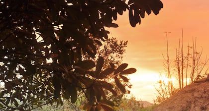 Sunset Manor