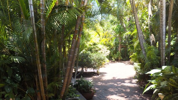 Jardin
